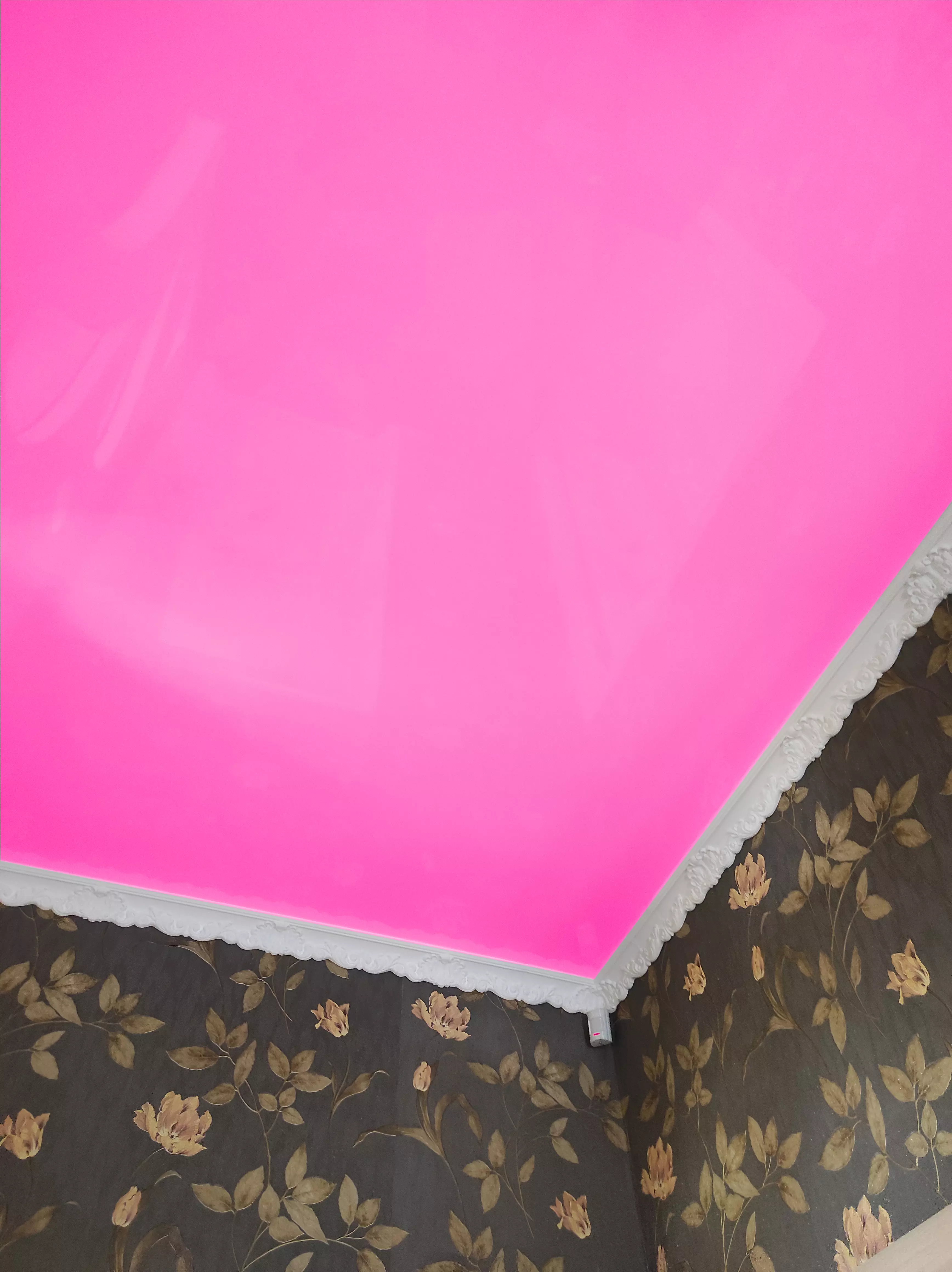 Орел, Комсомольская, 238, фото 2