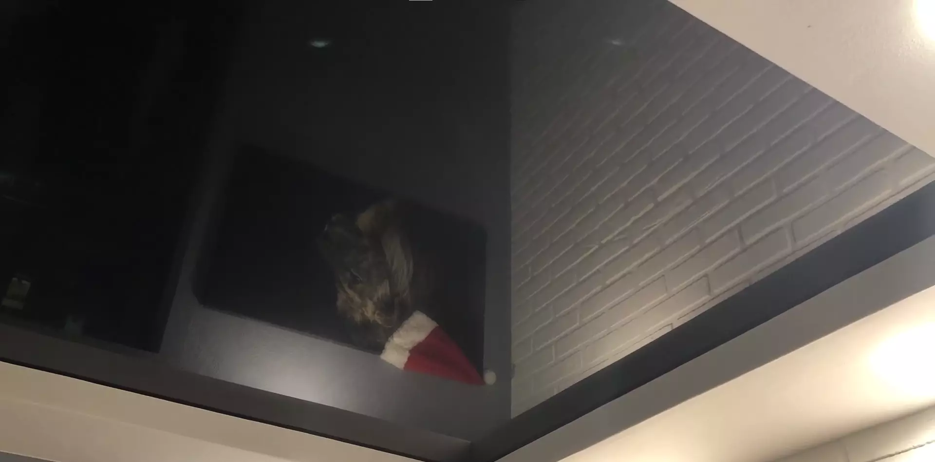 Ялта, , фото 3