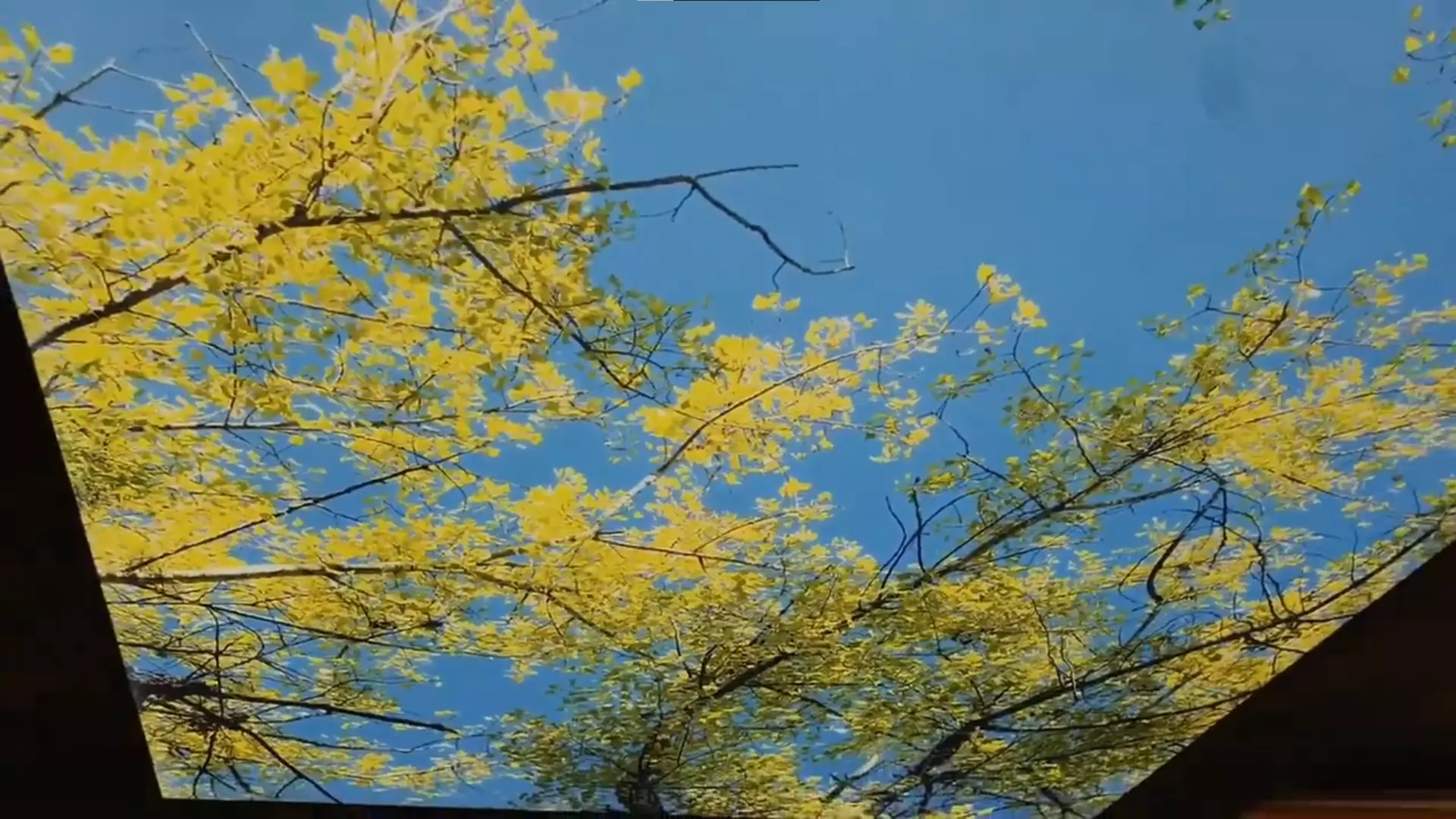 Шахты, проспект Победа Революции, 112, фото 2