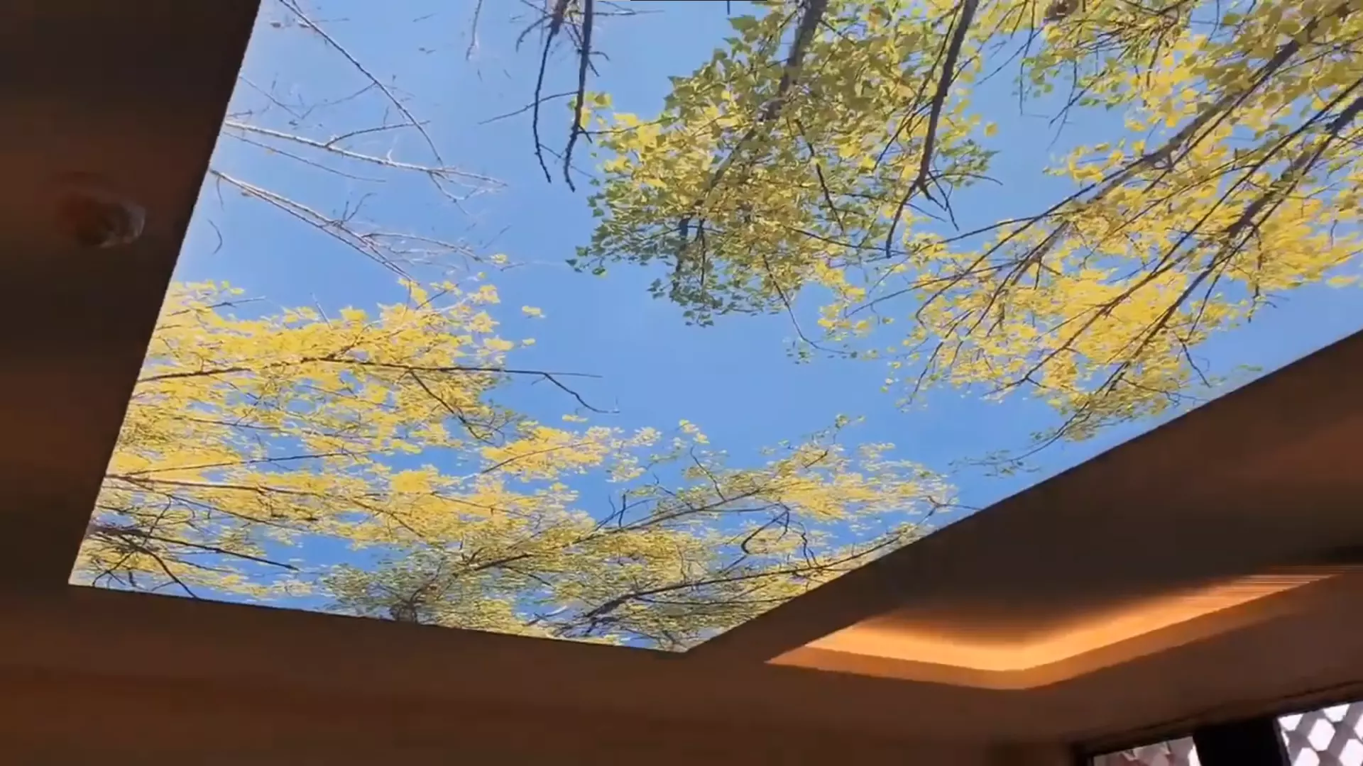 Шахты, проспект Победа Революции, 112, фото 3